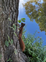 8a8c1583-cb88-438c-8e73-52b4b281da1a