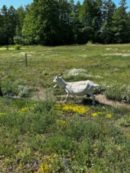 cbbf38c4-6667-4150-8366-d127a536c905