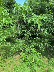 7649d020-59d2-48b3-acb4-52c0b0925eee