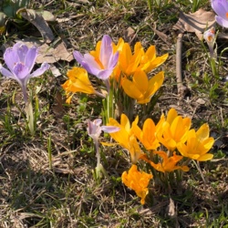 cae120b8-c1fa-4e2f-92ba-2f8edeac3434