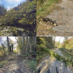 afebf9fa-9e5b-42e4-a50c-70832be791b5