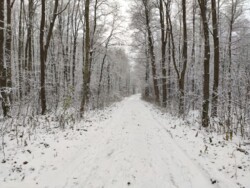 0c6edef0-d191-4811-bda4-494177708e37