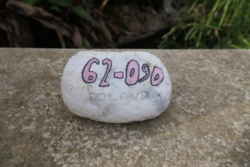 e8d16ad1-6934-4bc1-97ac-2211a9b2775e