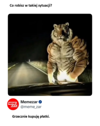 66aecd3e-ce77-418b-ba0d-060310c653a7