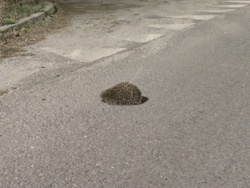 8e7bd460-5b1d-438a-945f-472b6d0ae582