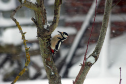 cdcd7e20-a345-49dd-bf40-d5576ea13b96