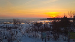 d1ac38af-af0e-4e1a-801b-02dbe11a604a