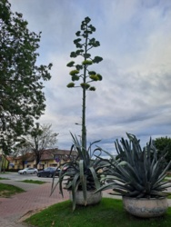 ba305fe5-9263-45c2-badf-6c44a60648b8