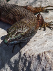 62ebed2c-5ae5-48a6-945c-5ddd0b56a6ab