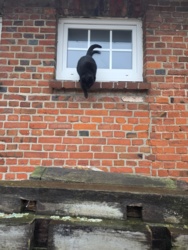 f0eb1838-61a3-42a8-b0a9-4919fcfd9e75