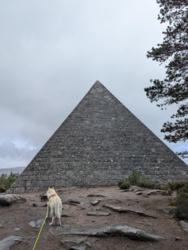 0c4930d2-f9b9-4ef9-81b4-8b719bdf30ef