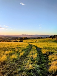 ef5fafe2-2fdb-4a49-83e6-5daa24cb91b0