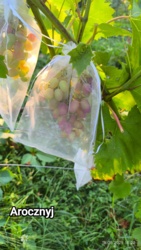 affbaa23-ccf4-4699-95b3-2f64c107494e