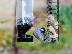 b5765b16-af3b-4087-8d1f-f4a1bc4217ea