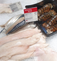 39ac2420-6c87-4548-972b-ceeae91bc98a