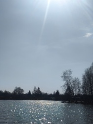 f98f8686-e5a3-46b5-8a52-089c3b37a596