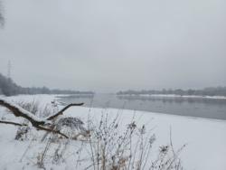 b4c906dc-2ff1-4509-b475-6d17e0e297fd