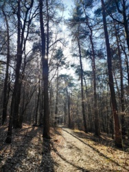 bb76d0ce-8c01-4cdc-98eb-bd07d843c77a