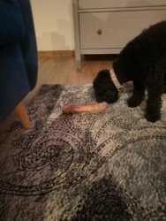 ecd53cab-55b9-4252-ab14-59a06bce5742