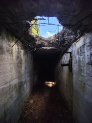 2144d61a-dd9f-4a52-aad3-dbff219953a5