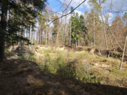 23fbdb65-9649-4d45-ba3d-920a649ea995