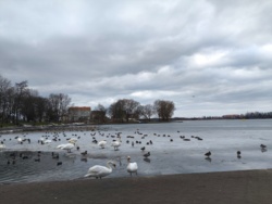 069bb2bf-19e5-4be0-a771-6e65cb524d79