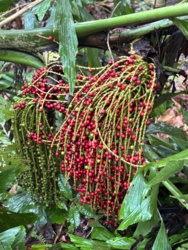 a742c288-9655-43f4-8e4e-3a62ea628006