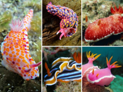 a17f591e-2f55-4d83-a379-bc744641b33e