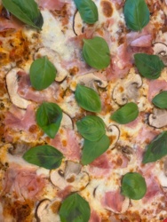 2c6fdbc8-6520-48ab-bf53-336596578915