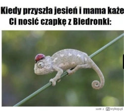 73f82448-90bf-4ae1-96b2-d5249529874f