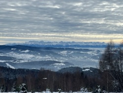 6afd9d8b-81d7-4cc2-b9d5-cc698a8f9fd6