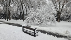 97625101-cbeb-4146-b68a-69fdb06e10b2