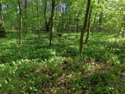 4f48e937-eb21-4d4d-987e-4729f5d13a89