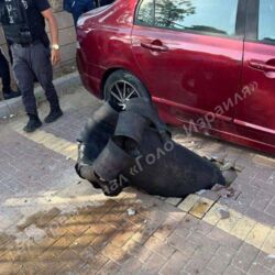 f106eb55-fcd8-4d9b-9077-d33c6ab36b19