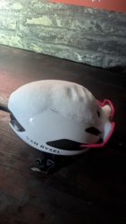 bf5a2ee9-4f36-465f-98dd-998b723cee3b