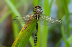 288bfc74-c65c-4650-846e-42752e4df9be