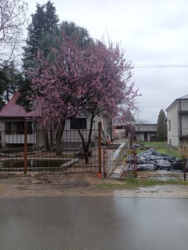 2d0a32fb-c4e0-455e-9e0f-21c111ba8499