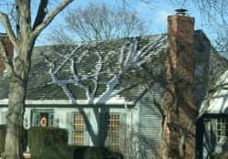 9c2ada47-c075-4660-a105-2eef466d021e