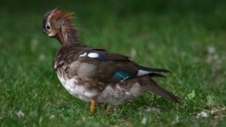 8175aa4f-4eab-4772-8355-7a59a3fadf3b