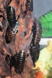 dc1f61ad-6fa9-4a67-b4ba-1a8457c677f4