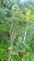 8bfa3047-bfa2-46a2-8288-29a536f2c813