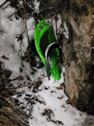 d5689f9b-55b4-4f77-8756-f6c664519b61