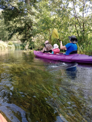 df7e4853-200d-422b-811a-02c7fbaffa62