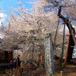 ee2284a8-70eb-4294-9294-17cfb7bcd814