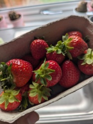 5160b1c5-4681-4090-9533-a3b009a855d9