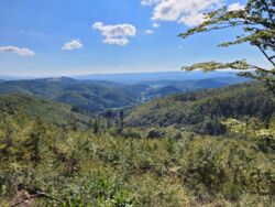 7119f2eb-1925-4c09-907b-8173cbc09ab1