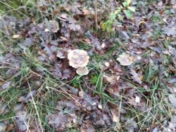 8fb9eccd-2368-4f23-a7f3-e282d58b8608