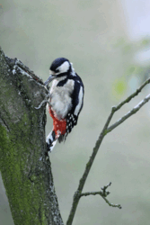 56d989d0-8641-4d7d-91b1-07b2838c1687