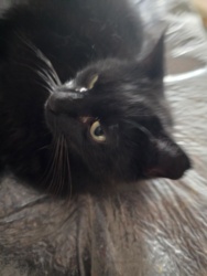 8ec57109-c8be-4beb-a358-997ea8ff928f