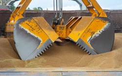 Sądy karzą za aferę zbożową. Symbolicznie